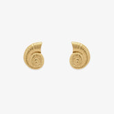 Seashell Stud Earrings