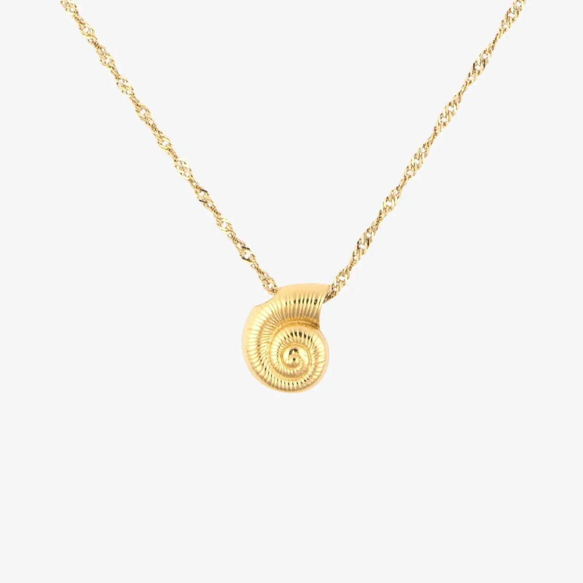 Seashell Pendant Necklace