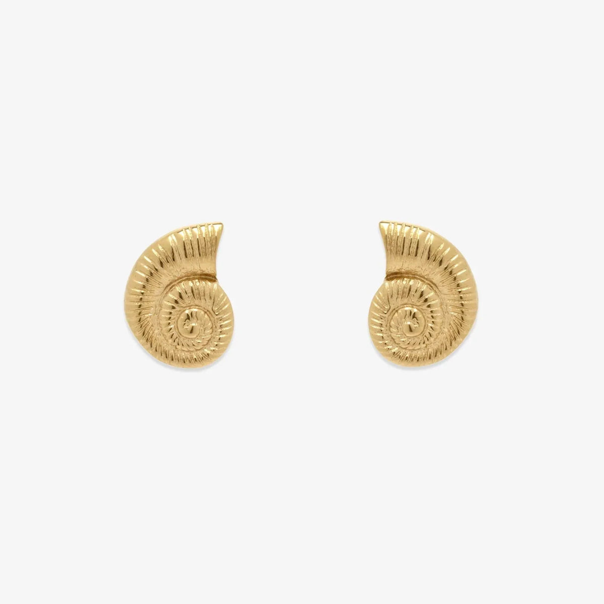 Seashell Stud Earrings